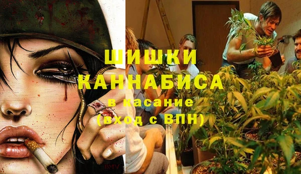 крисы Алексин