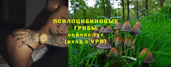прущая мука Алзамай