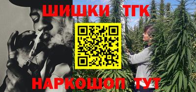 индика Дубна