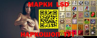 индика Дубна