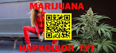 индика Дубна