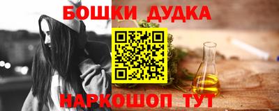 индика Дубна