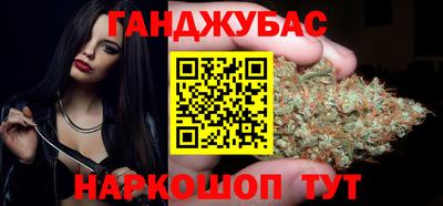 индика Дубна