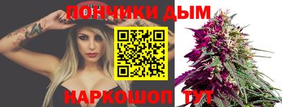 индика Дубна