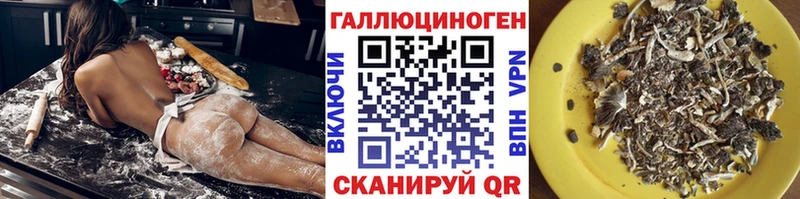 мега вход  Карачаевск  Псилоцибиновые грибы Psilocybine cubensis 