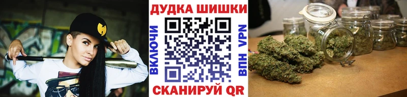 Бошки марихуана White Widow  Карачаевск 